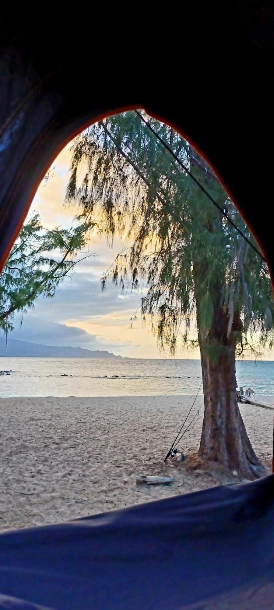 Campcar Maui Jeeps Suvs Hybrid Camper Van Rentals With Equipment And Travel Advice Kahului Eksteriør bilde
